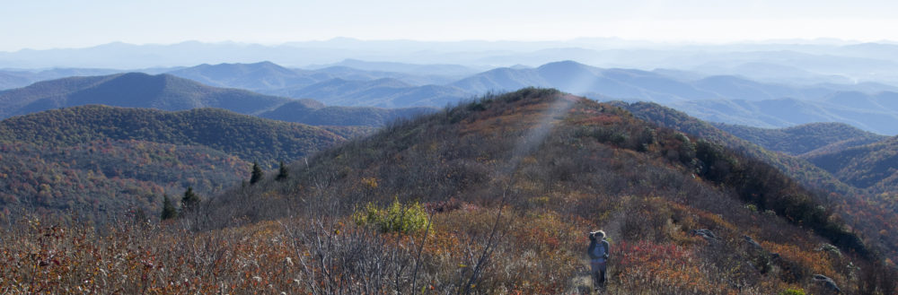 Hiking Loon