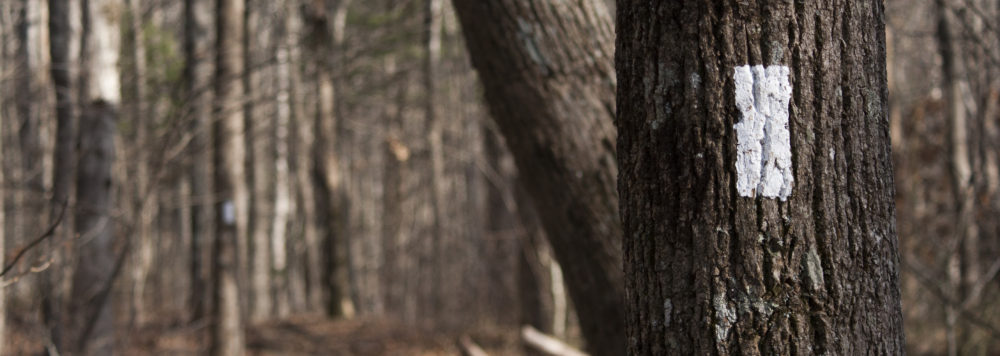 Hiking Loon